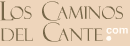 Banner destacado